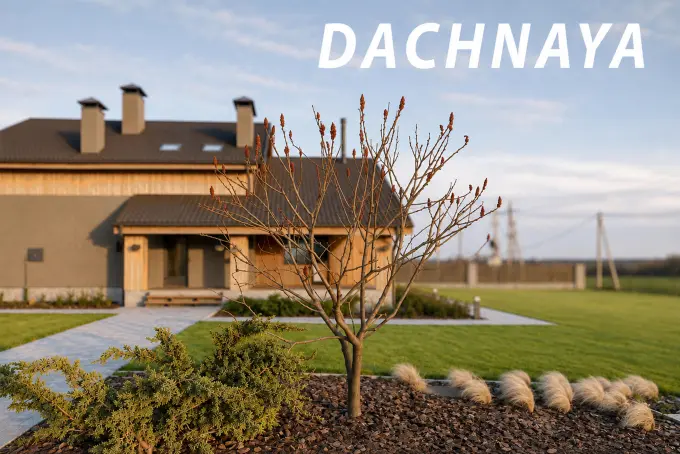 DACHNAYA [RE]