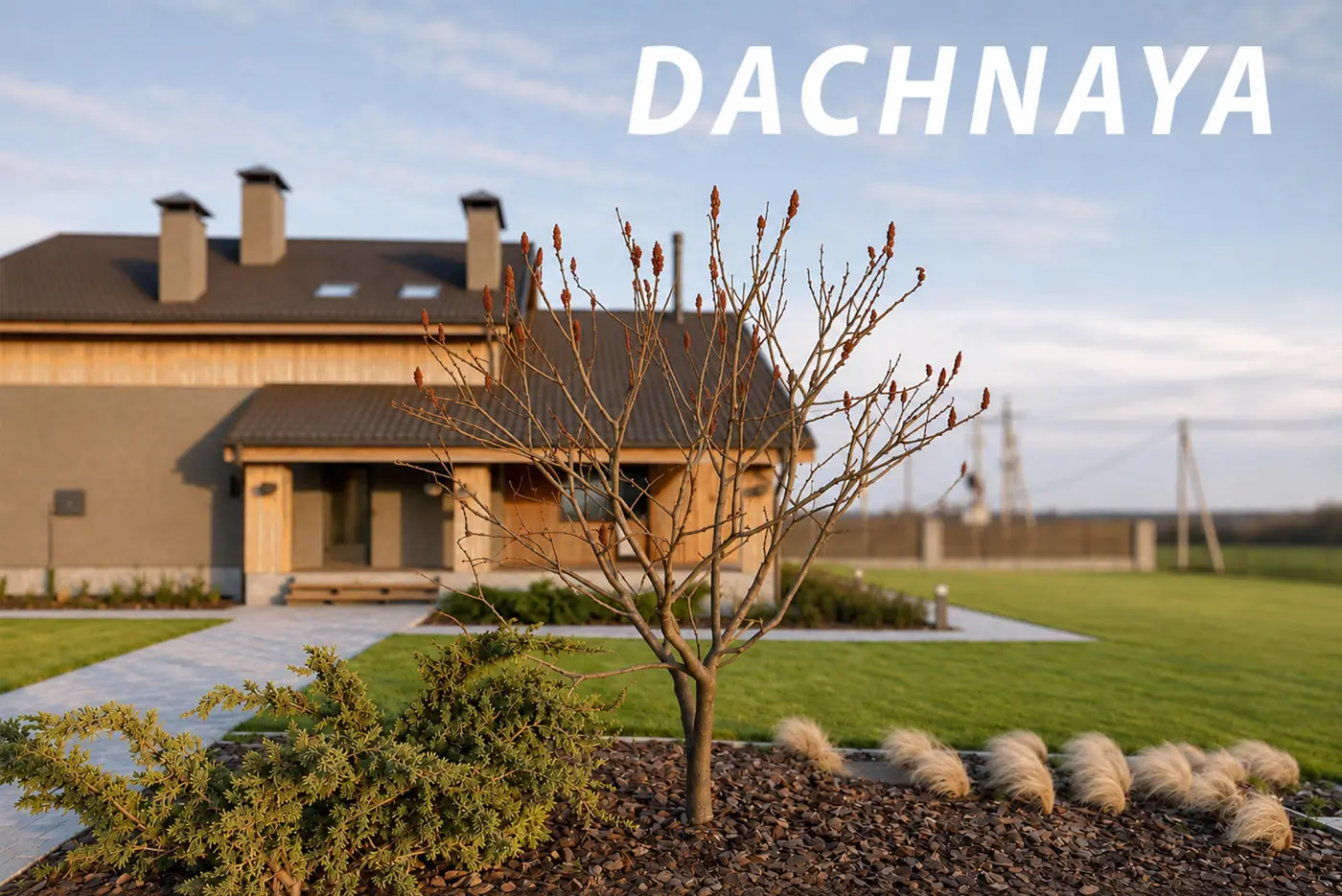 DACHNAYA [RE]